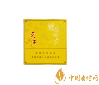 高档香烟礼品包包